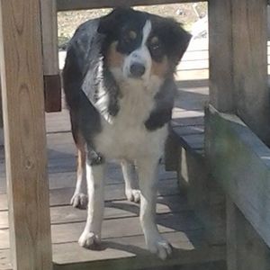 Meet your Posher, Diana